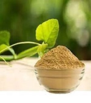 Cissus Quadrangularis Extract