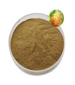 Corn Silk Extracts