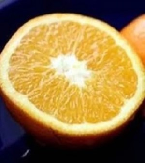 Citrus Sinensis Extract Powder