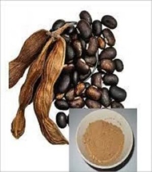 Mucuna Pruriens Extract