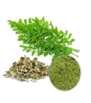Moringa Leaf Extract