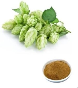 Hops Flower Extract