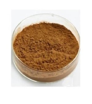 Papaya Leaf Extract