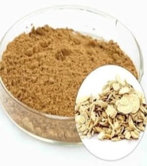 Astragalus Extract
