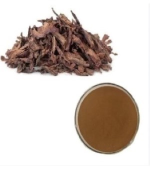Ashoka Extract