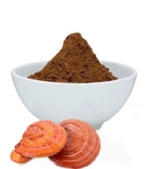 Ganoderma Extract