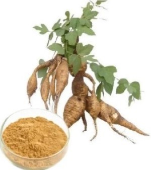 Kudzu Extract