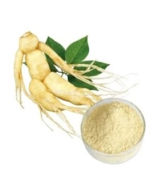 Ginseng Extract