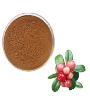 Rosehip Extract