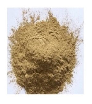 Hoodia Extract