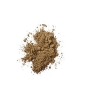 Barley Grass Extract