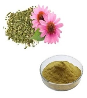 Echinacea Extract