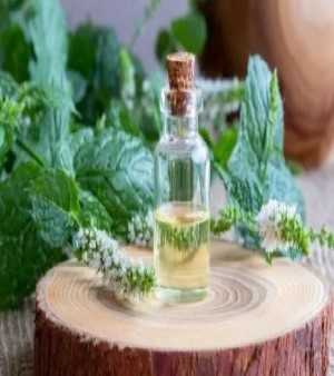 Peppermint Oil
