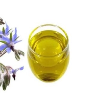 Borage Oil