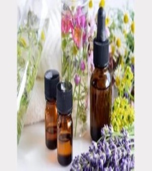 Oregano Oil