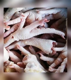Fresh Chicken Feet