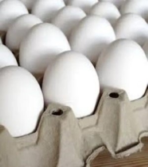 Eggs