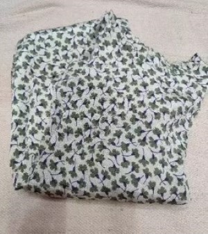 Shimmer Material Dress