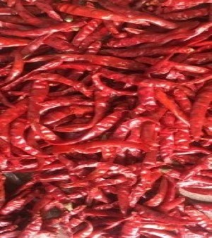 Red Hot Chilli