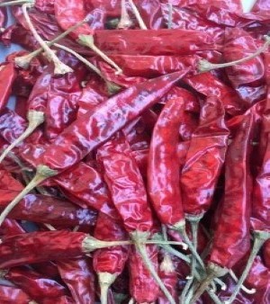 Dry Red Chilli