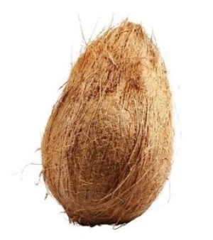 Dry Coconut