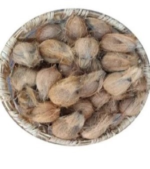 Grade C Semi Husked Coconut
