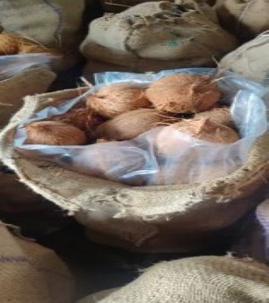 Grade A Brown Semi Husked Coconut