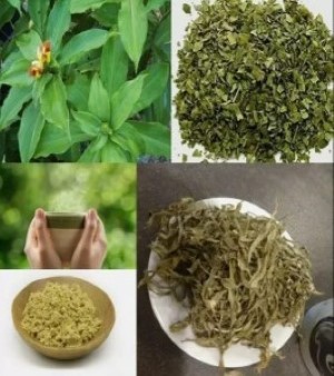 Anti Diabetic Tea