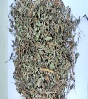 Tulsi Leaves