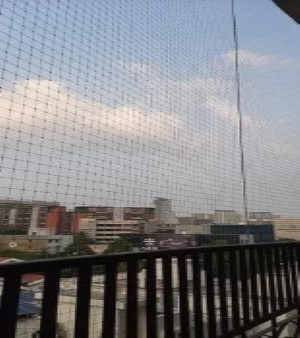 HDPE Anti Bird Net
