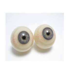 Artificial Eyes