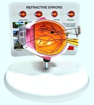 Refractive Eye Model