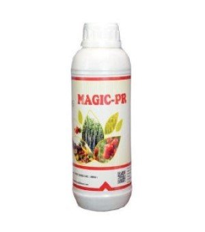 Magic PR Growth Promoter