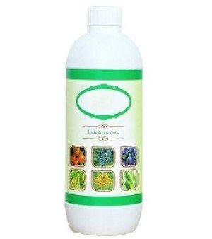 Trichoderma Viride