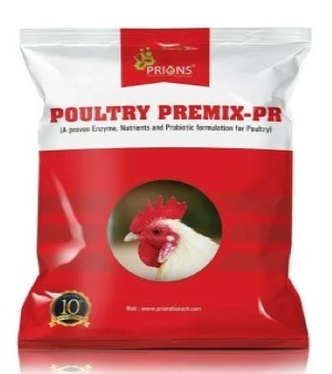 Vitamin Premix Poultry Supplements