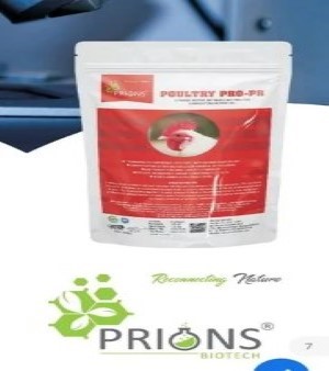 Probiotic Poultry Feed Supplement