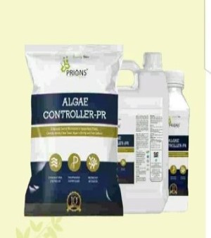 Blue Green Algae Control Probiotics