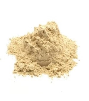 BACILLUS SUBTILIS