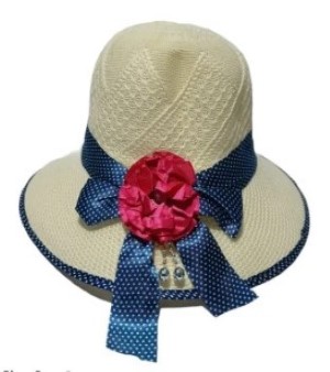 Ladies Fashion Hat