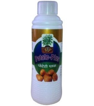 Potato Plant Growth Promoters