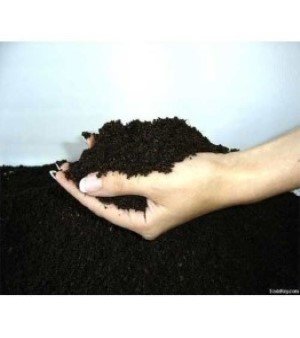 Bio Humus Fertilizer