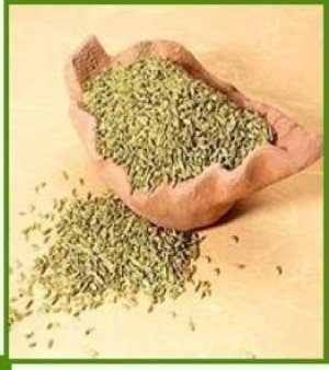 Fennel Seed