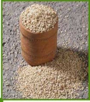 Natural Sesame Seed