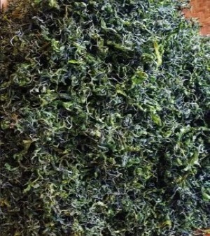 Herbal Organic Green Tea