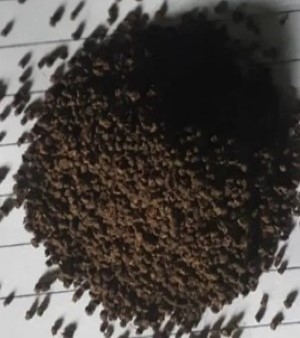 Black Tea BP