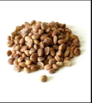 Herbal Piles Medicine