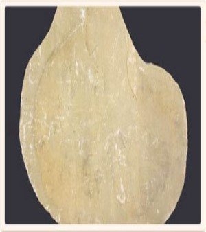 Stepping Stone