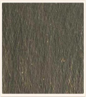 Himachal Black Natural Quartzite