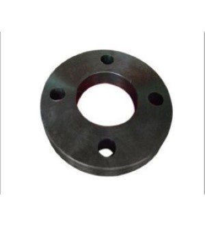 HDPE Flanges