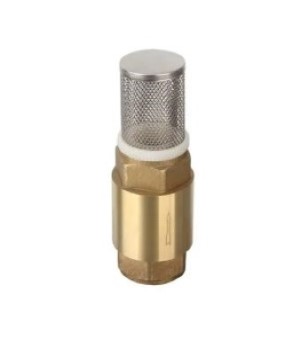 Foot Valve with SS Mesh